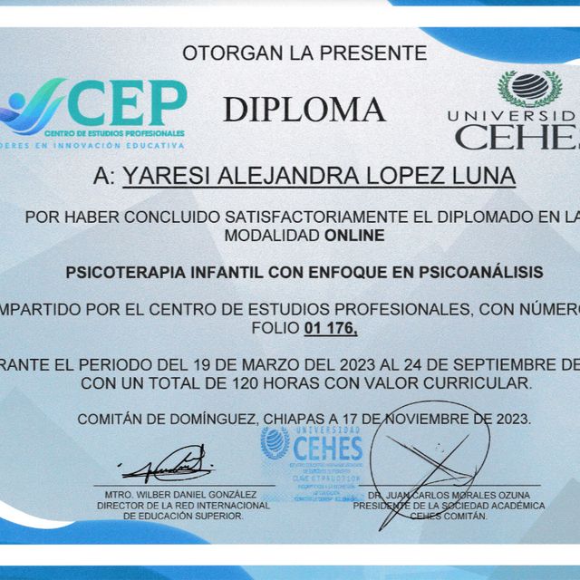 Ampliar imagen: certificate 1