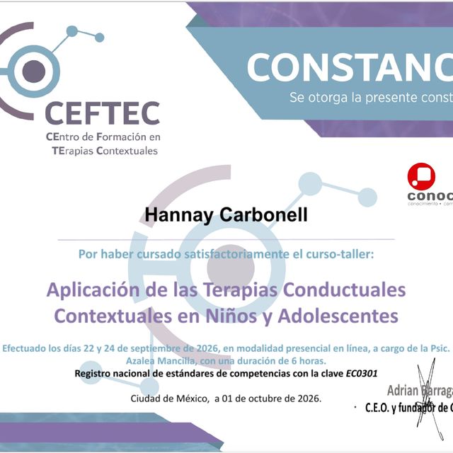 Ampliar imagen: certificate 11
