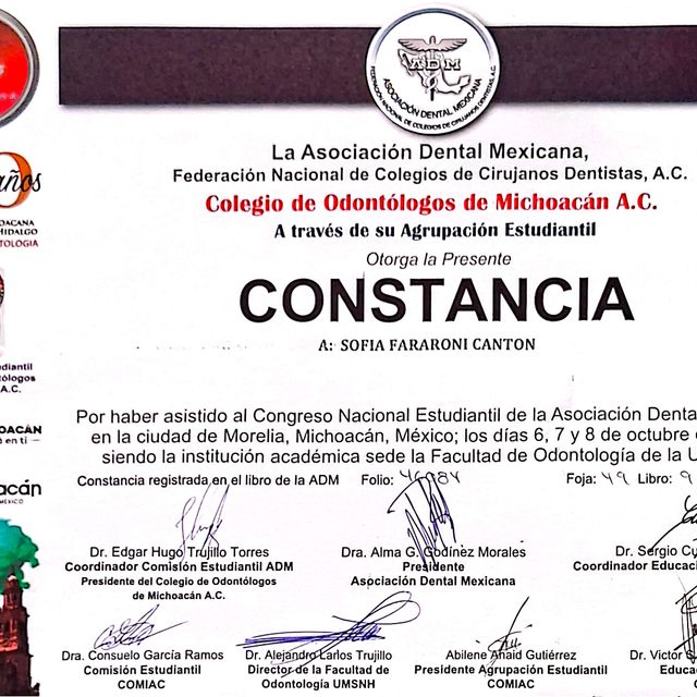 Ampliar imagen: certificate 1