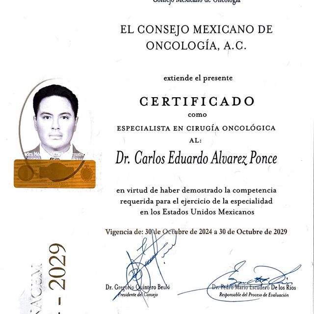 Ampliar imagen: certificate 1