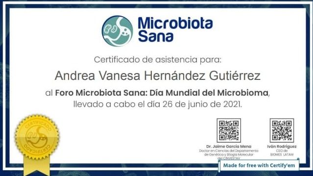 Ampliar imagen: certificate 2