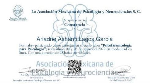 Ampliar imagen: certificate 4