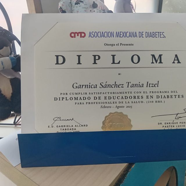 Ampliar imagen: certificate 10