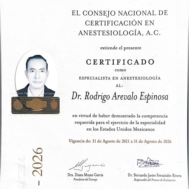 Ampliar imagen: certificate 2