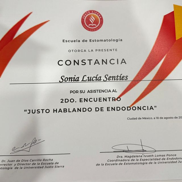 Ampliar imagen: certificate 2