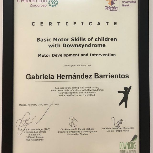 Ampliar imagen: certificate 2