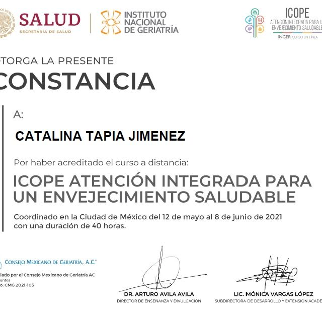 Ampliar imagen: certificate 2