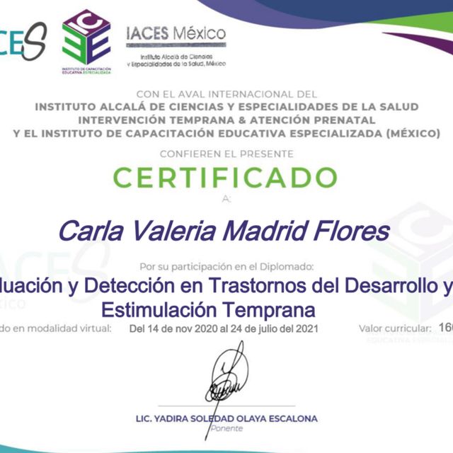 Ampliar imagen: certificate 1