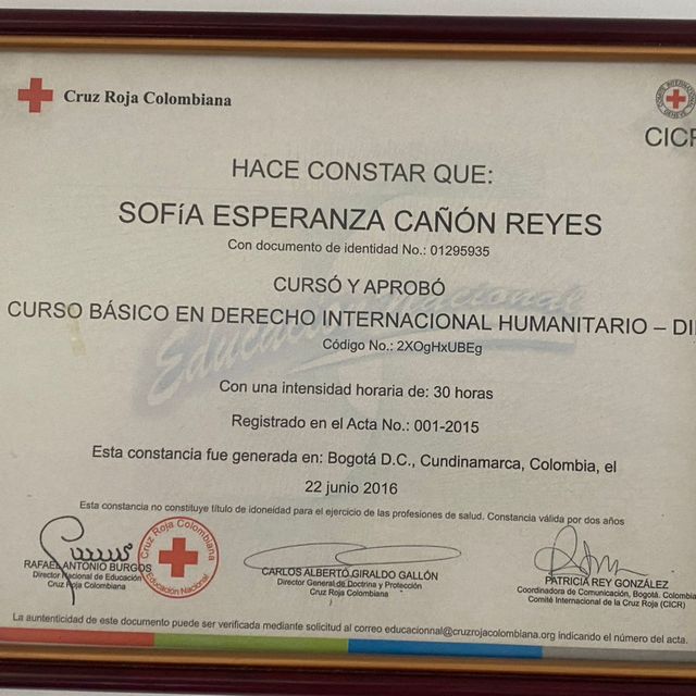 Ampliar imagen: certificate 1