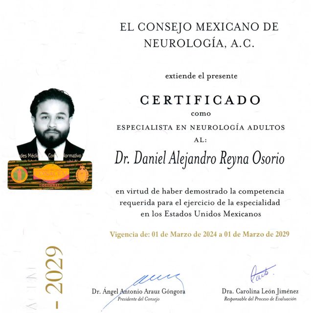 Ampliar imagen: certificate 1
