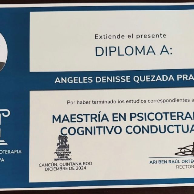 Ampliar imagen: certificate 2