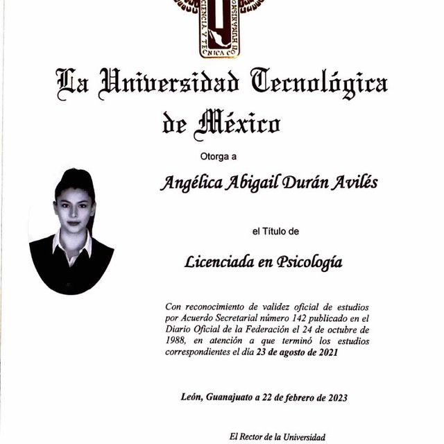 Ampliar imagen: certificate 1