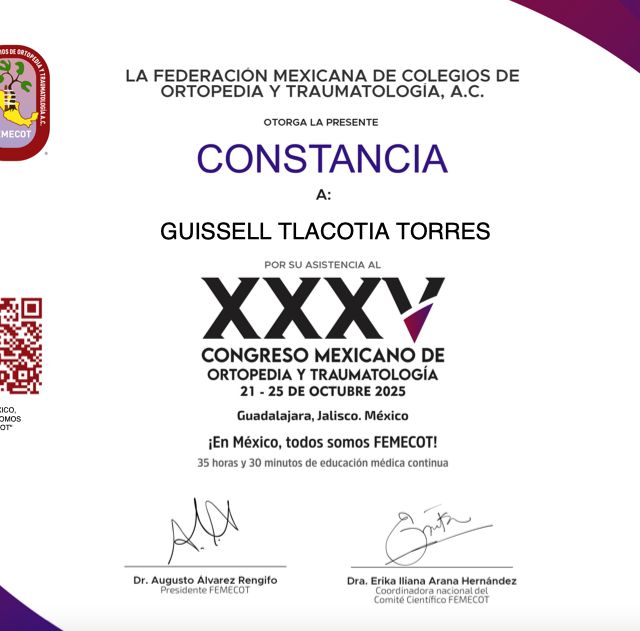 Ampliar imagen: certificate 2
