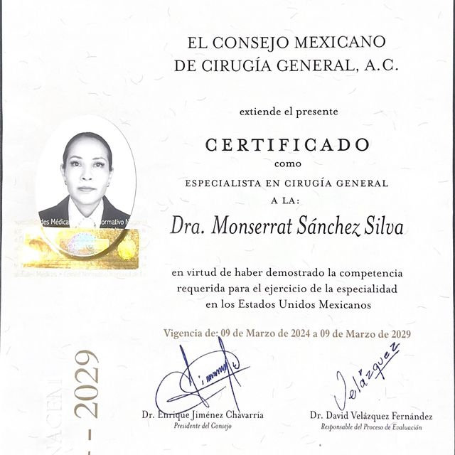 Ampliar imagen: certificate 2