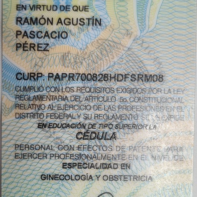 Ampliar imagen: certificate 6