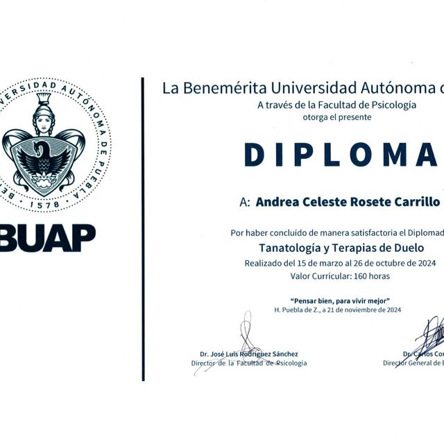 Ampliar imagen: certificate 3