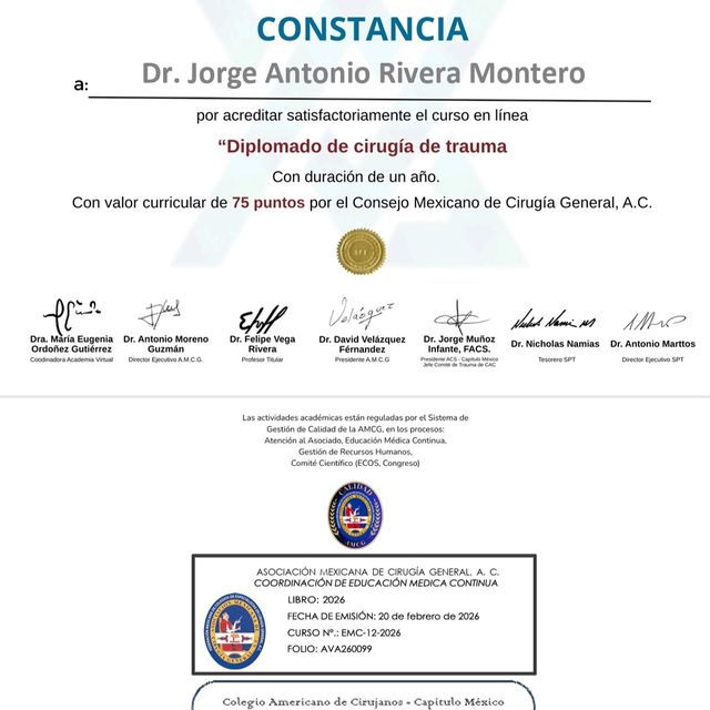 Ampliar imagen: certificate 5