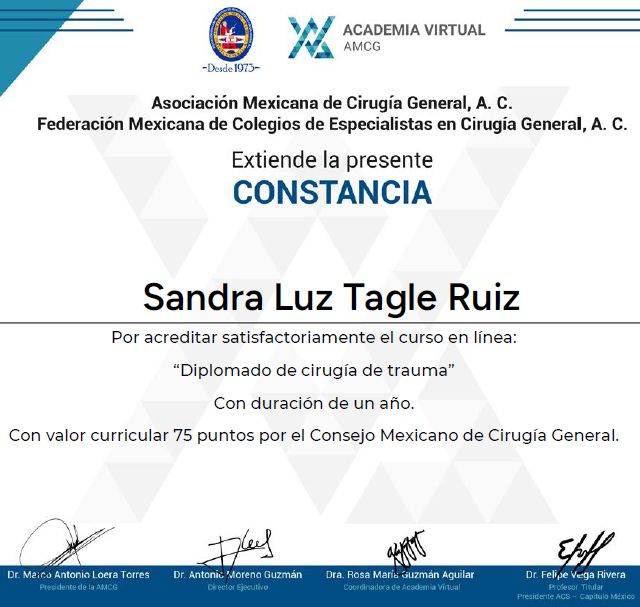 Ampliar imagen: certificate 3