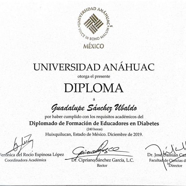 Ampliar imagen: certificate 2