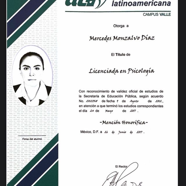 Ampliar imagen: certificate 2