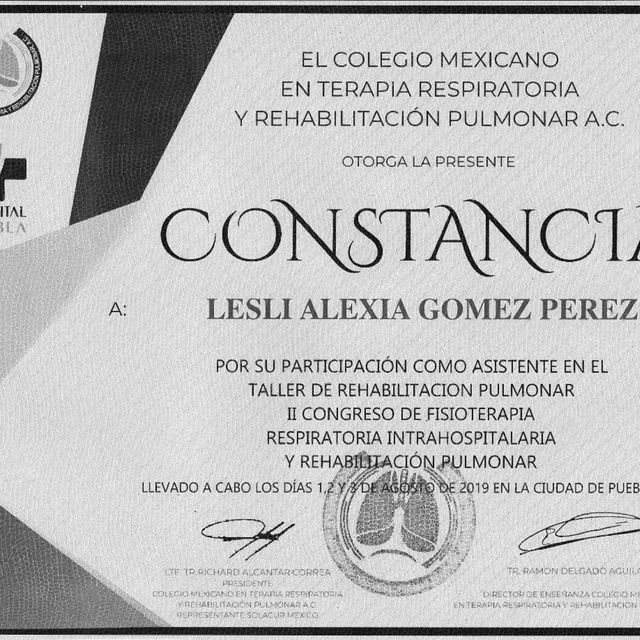 Ampliar imagen: certificate 16
