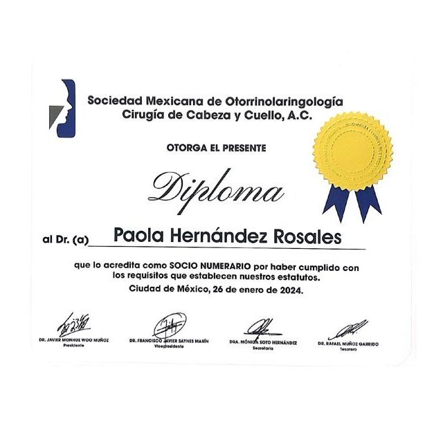 Ampliar imagen: certificate 1
