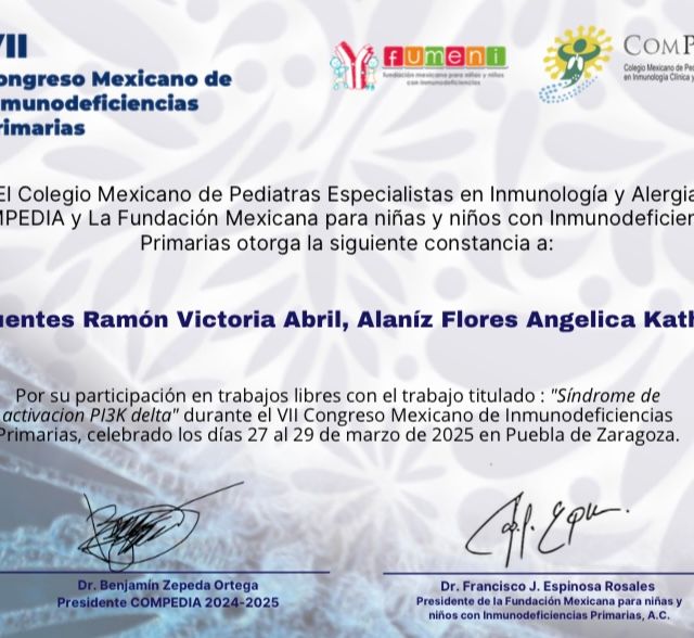 Ampliar imagen: certificate 2