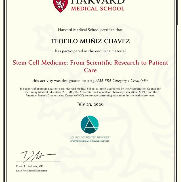Ampliar imagen: certificate 2