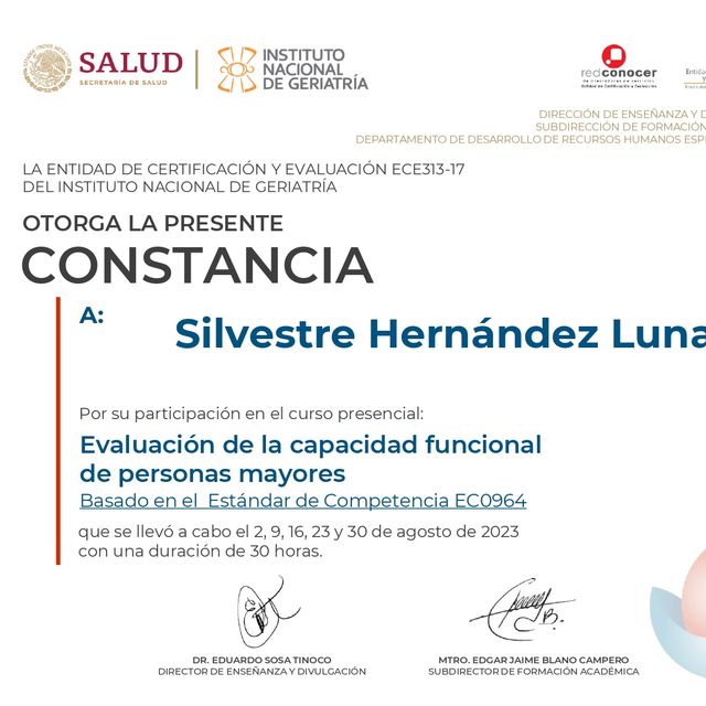 Ampliar imagen: certificate 16