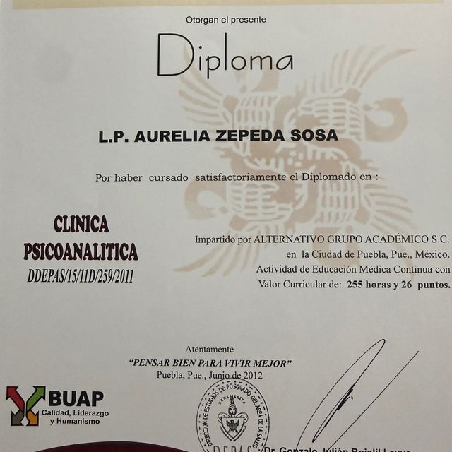 Ampliar imagen: certificate 15