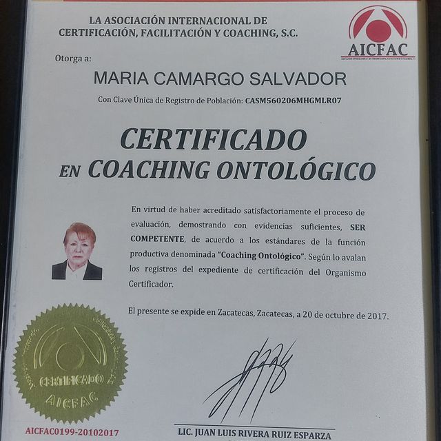 Ampliar imagen: certificate 5
