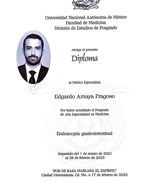 Ampliar imagen: certificate 1