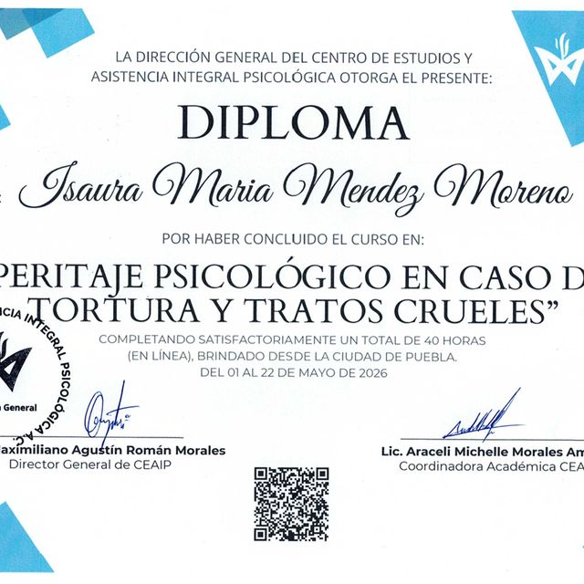 Ampliar imagen: certificate 17