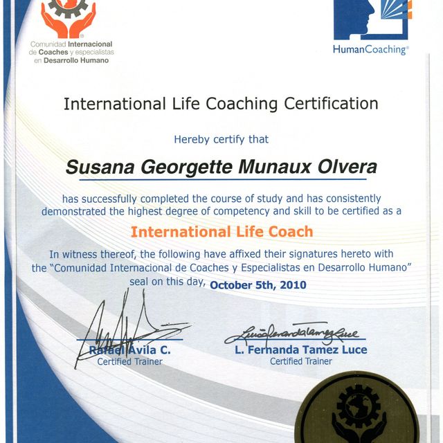 Ampliar imagen: certificate 2