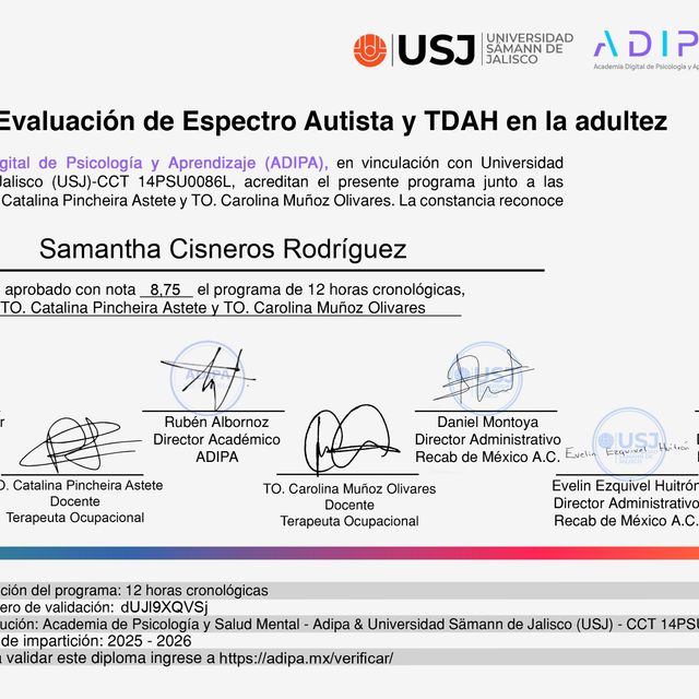 Ampliar imagen: certificate 6