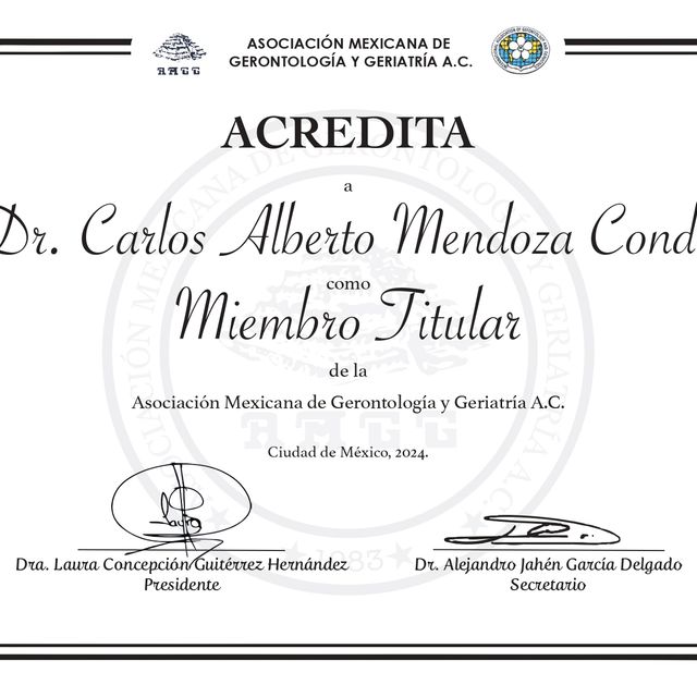 Ampliar imagen: certificate 5