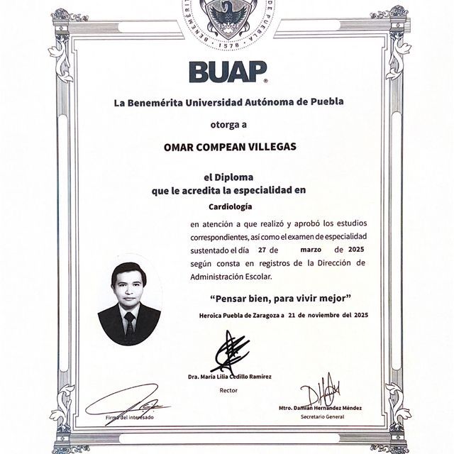 Ampliar imagen: certificate 3