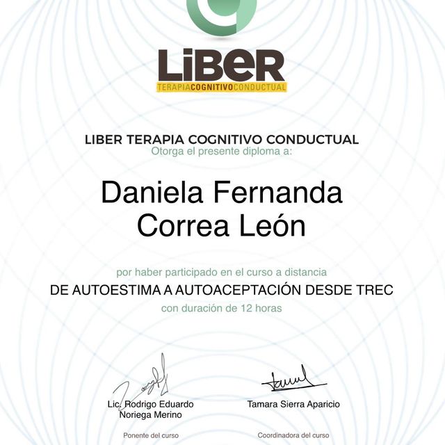 Ampliar imagen: certificate 6
