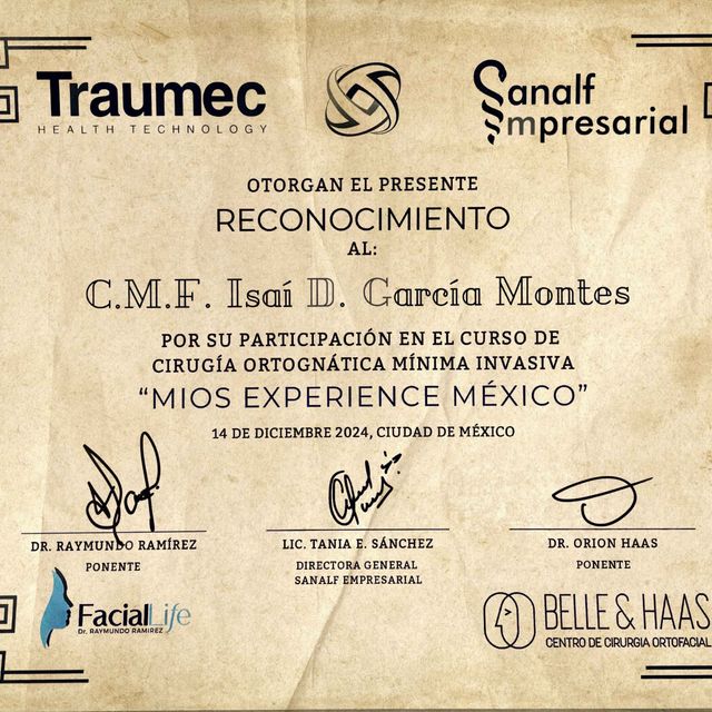 Ampliar imagen: certificate 11