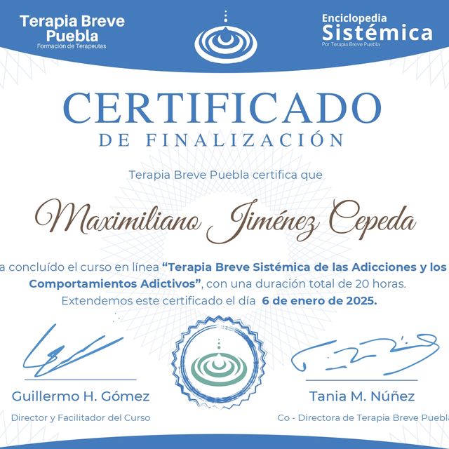 Ampliar imagen: certificate 3