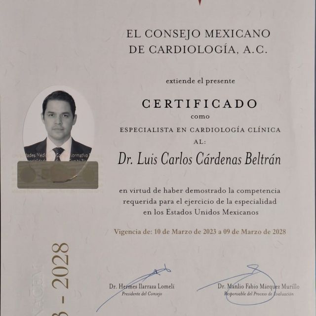 Ampliar imagen: certificate 1