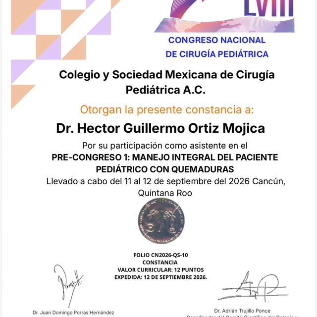 Ampliar imagen: certificate 7