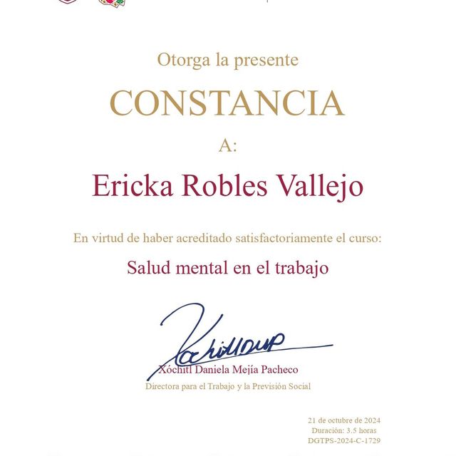 Ampliar imagen: certificate 11