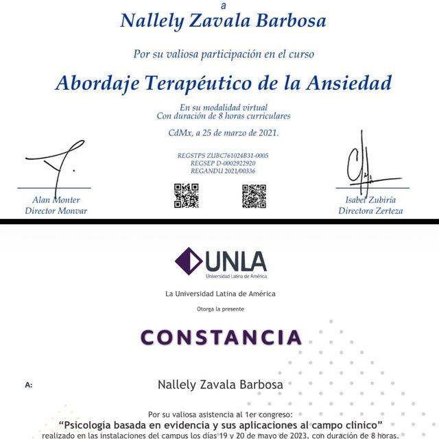 Ampliar imagen: certificate 1
