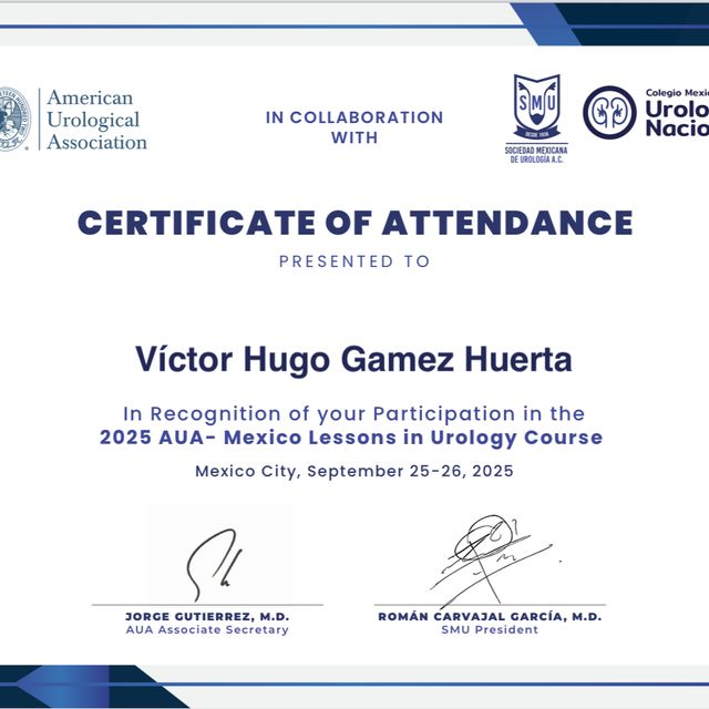 Ampliar imagen: certificate 3
