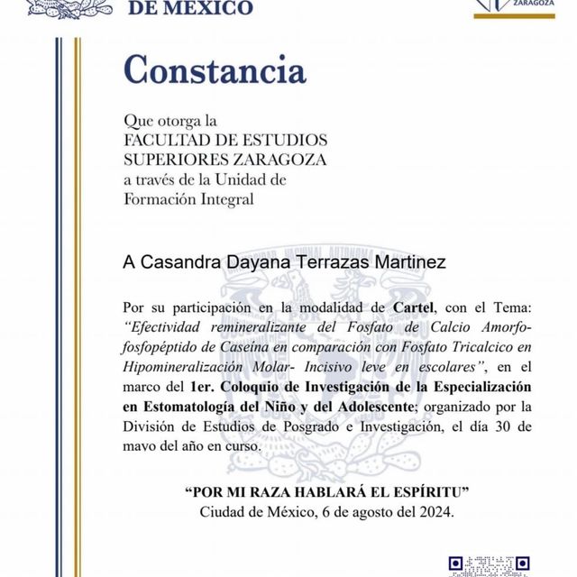 Ampliar imagen: certificate 5