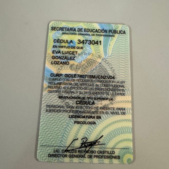 Ampliar imagen: certificate 5