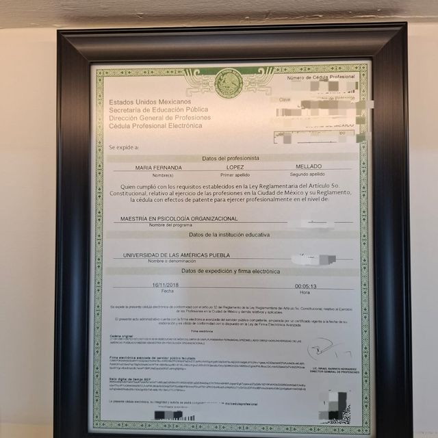 Ampliar imagen: certificate 1