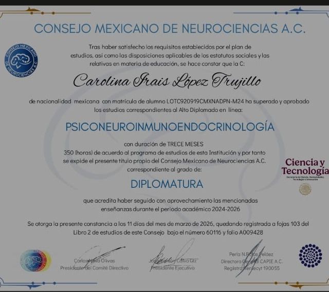 Ampliar imagen: certificate 9