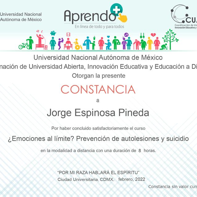 Ampliar imagen: certificate 5
